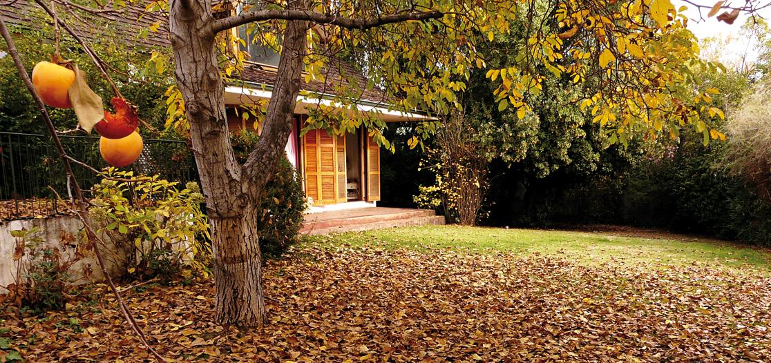 Cómo cuidar el jardín en otoño