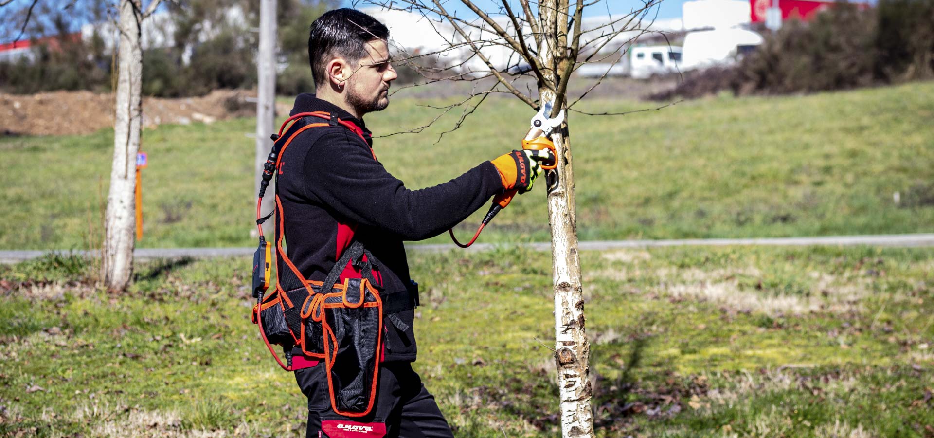 pruning-tools