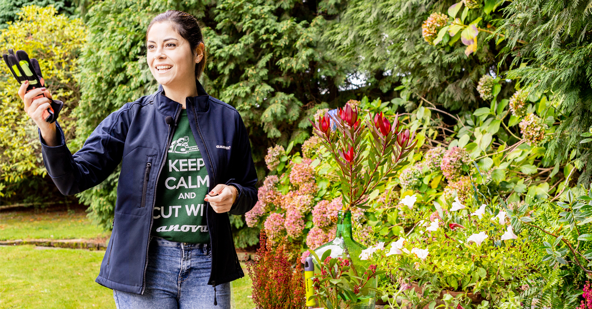 Cómo cuidar tu jardín en primavera