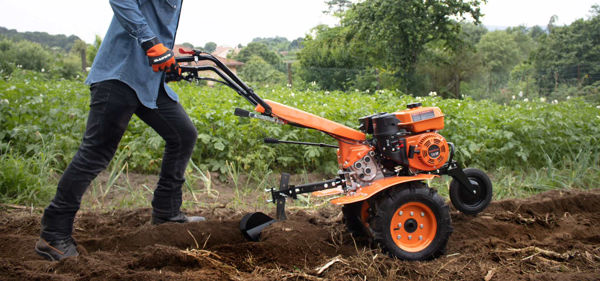 Motoazada para la huerta , Motor