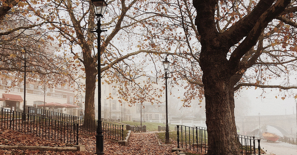 sopladores-aliado-otoño