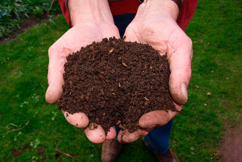 Compost