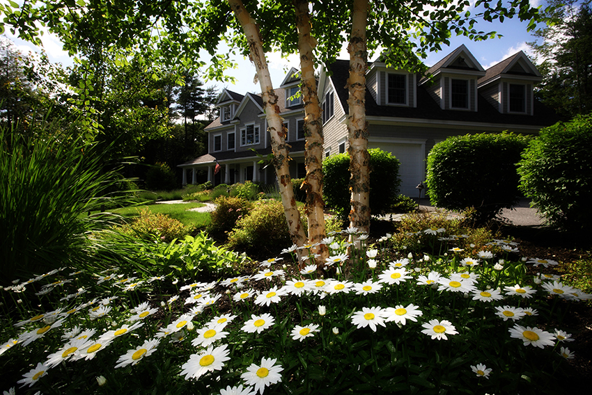 Jardín con plantas y flores